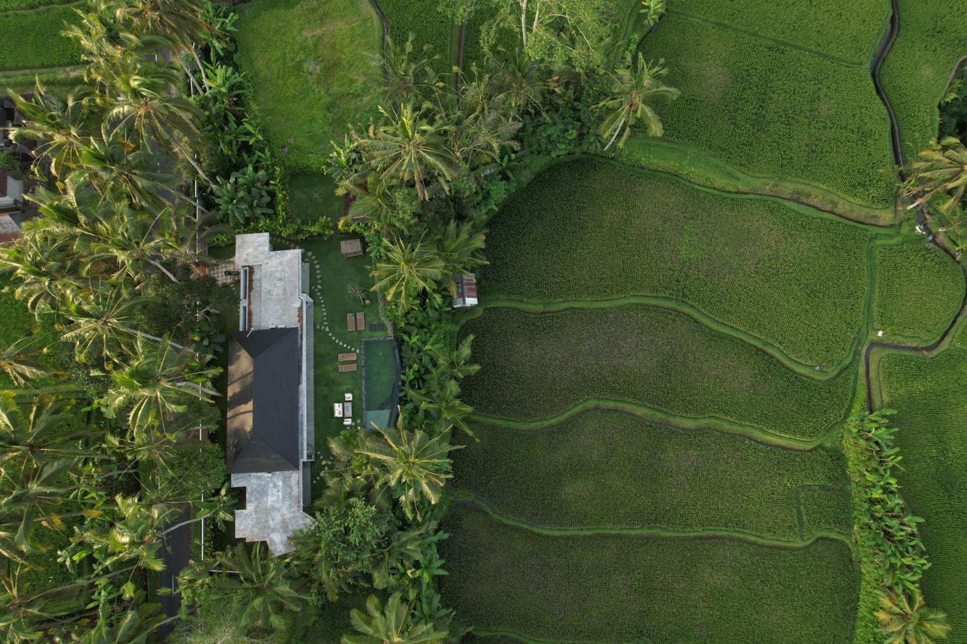 Hatiku Di Bali - Ubud Tegallalang  Exterior photo